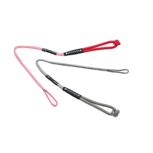 Duotone Minimalistic Pigtails Back